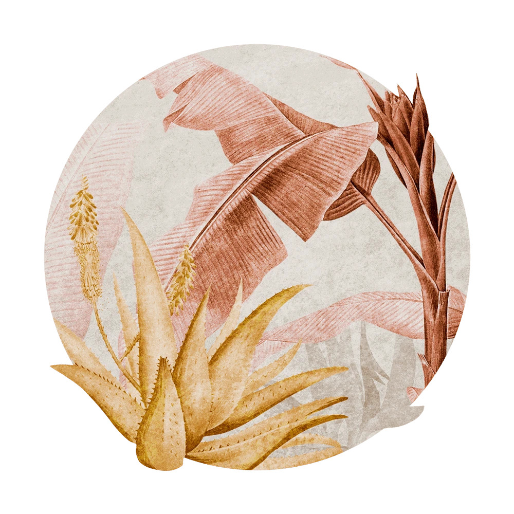 Պատի ծածկույթներ 1