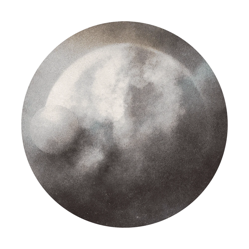 Recubrimiento de pared 1