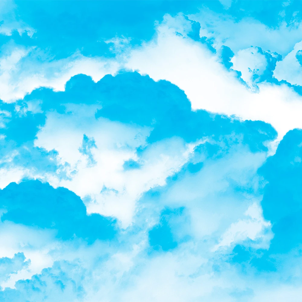 Պատի ծածկույթներ 1