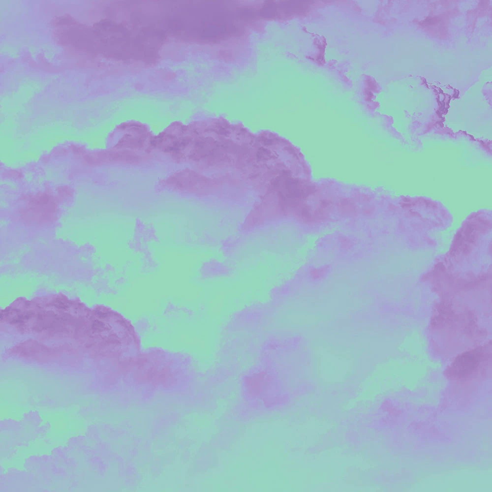 Պատի ծածկույթներ 2