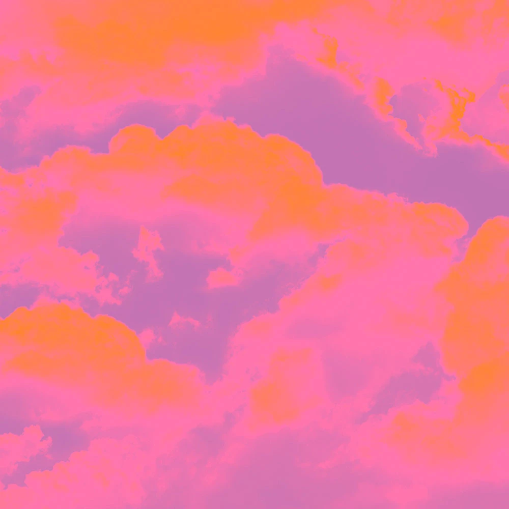 Պատի ծածկույթներ 4