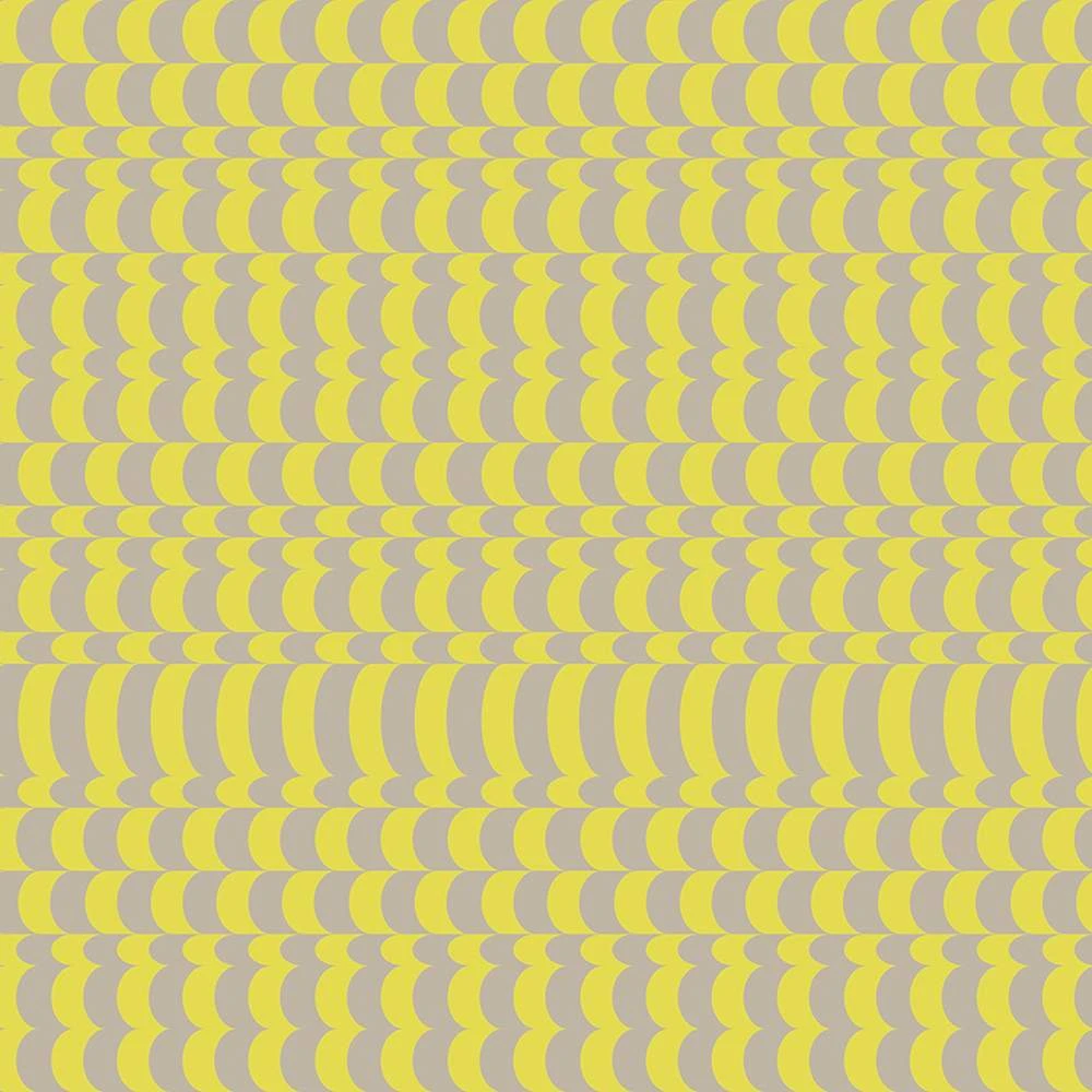 Rivestimento murale 6