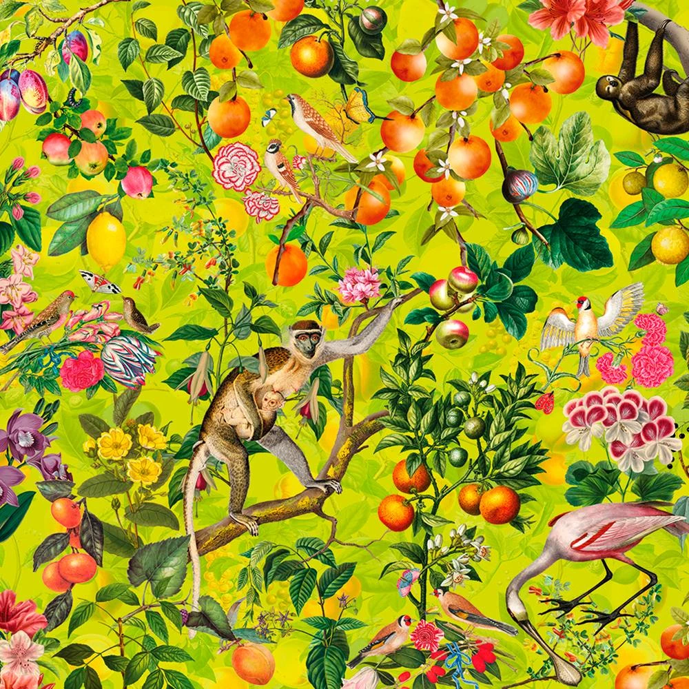 Rivestimento murale 1