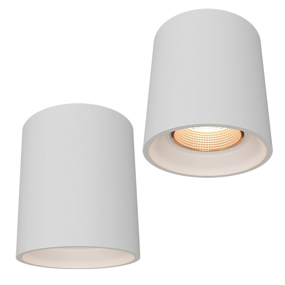 Spot Surface Luminaire DENKIRS DK3090-WBR