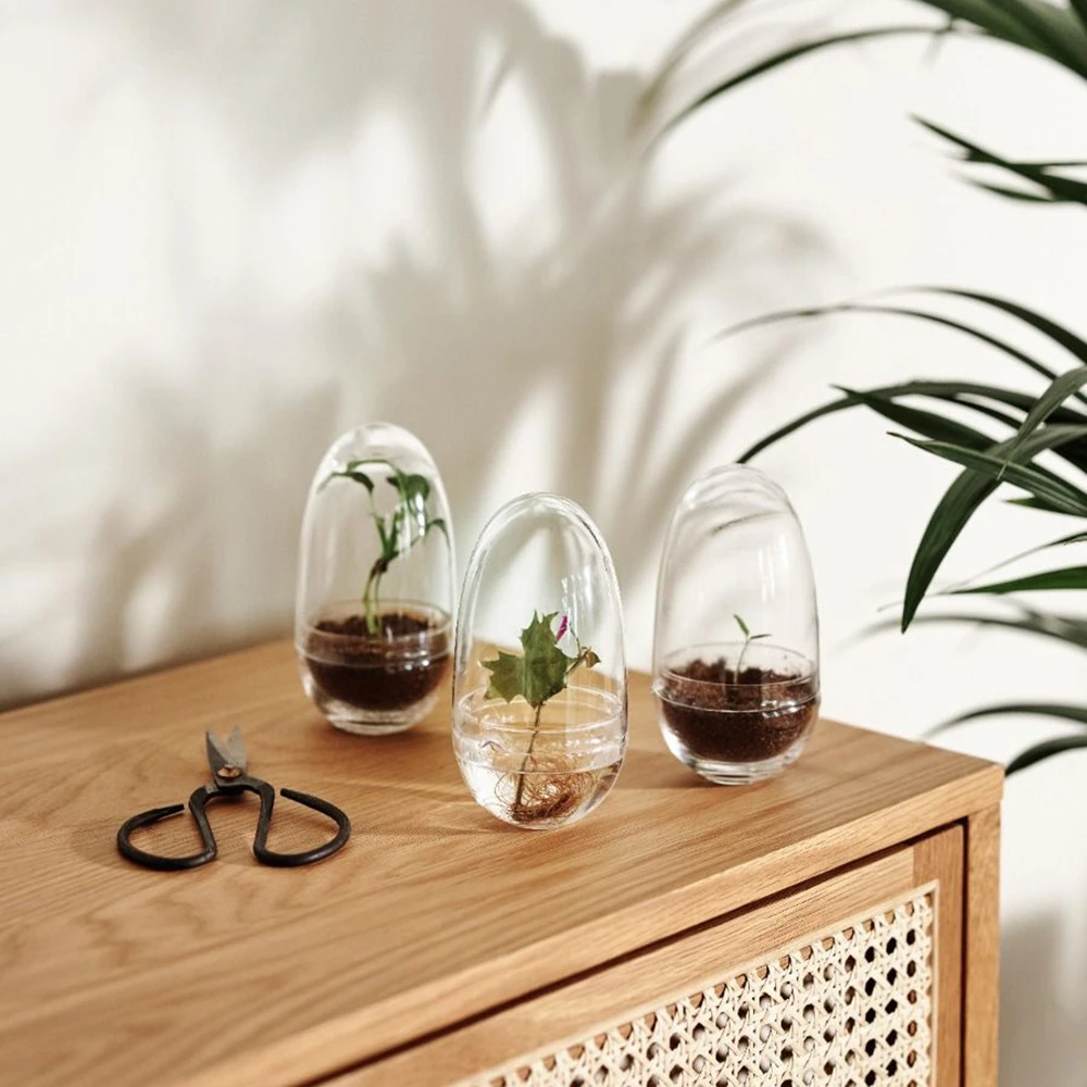 Plants / Other decorative objects 3