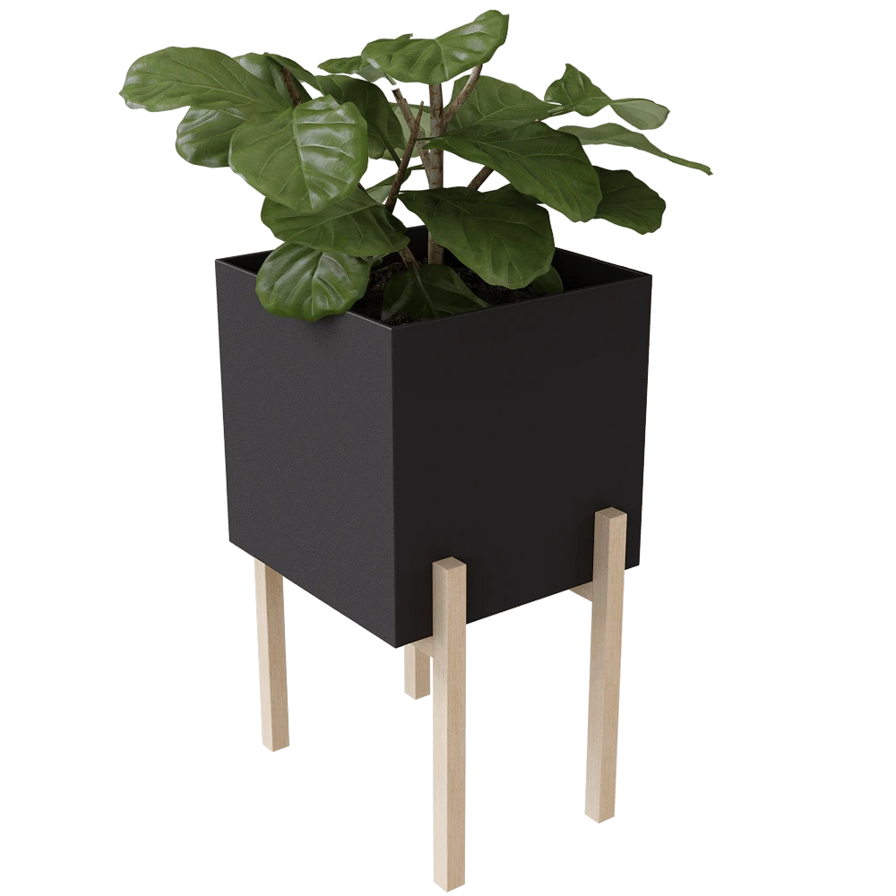 Plants / Other decorative objects 1