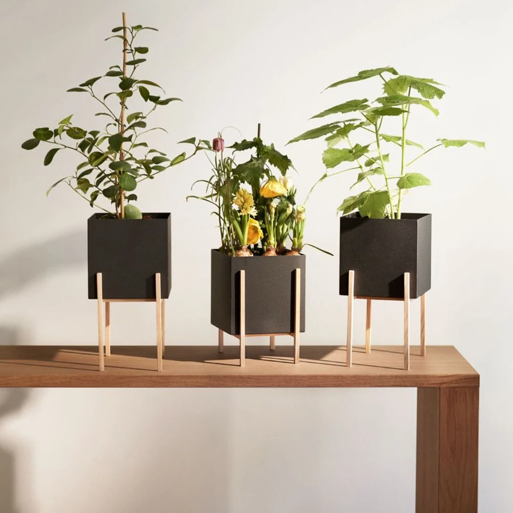 Plants / Other decorative objects 3