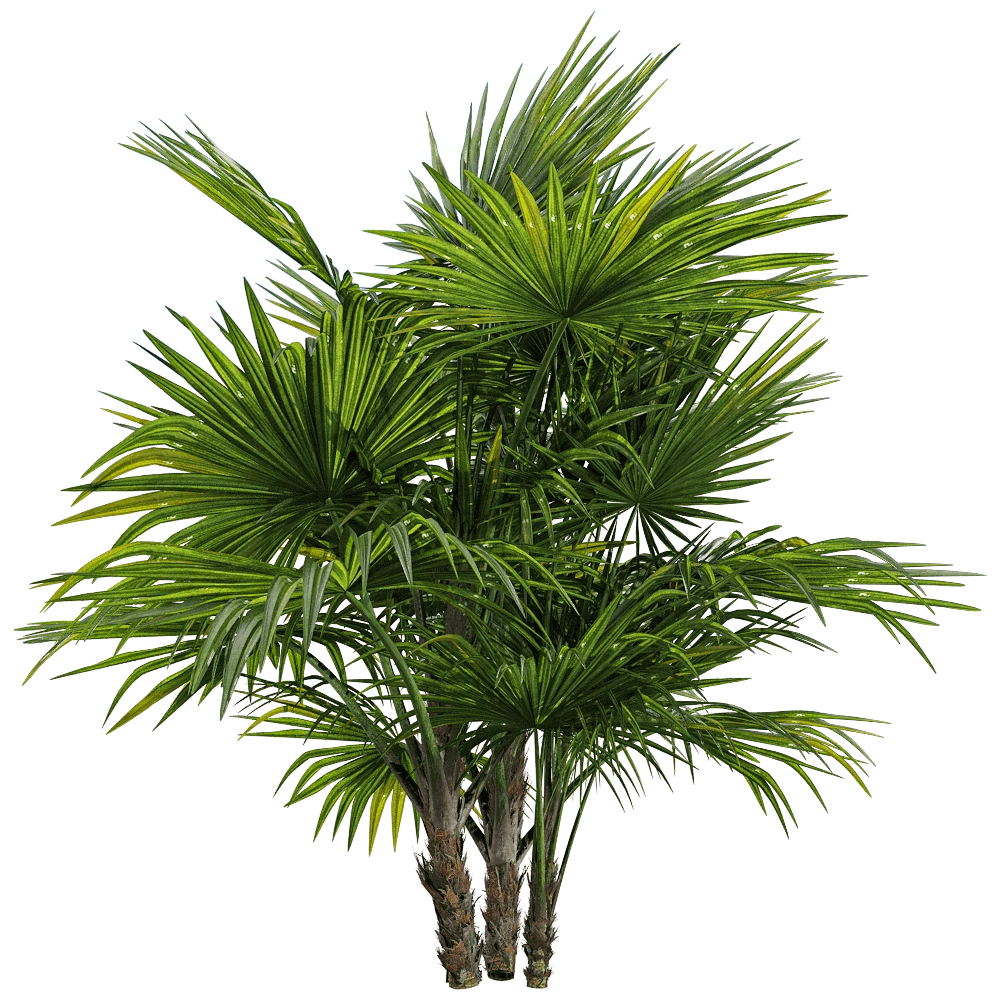 Plants 1
