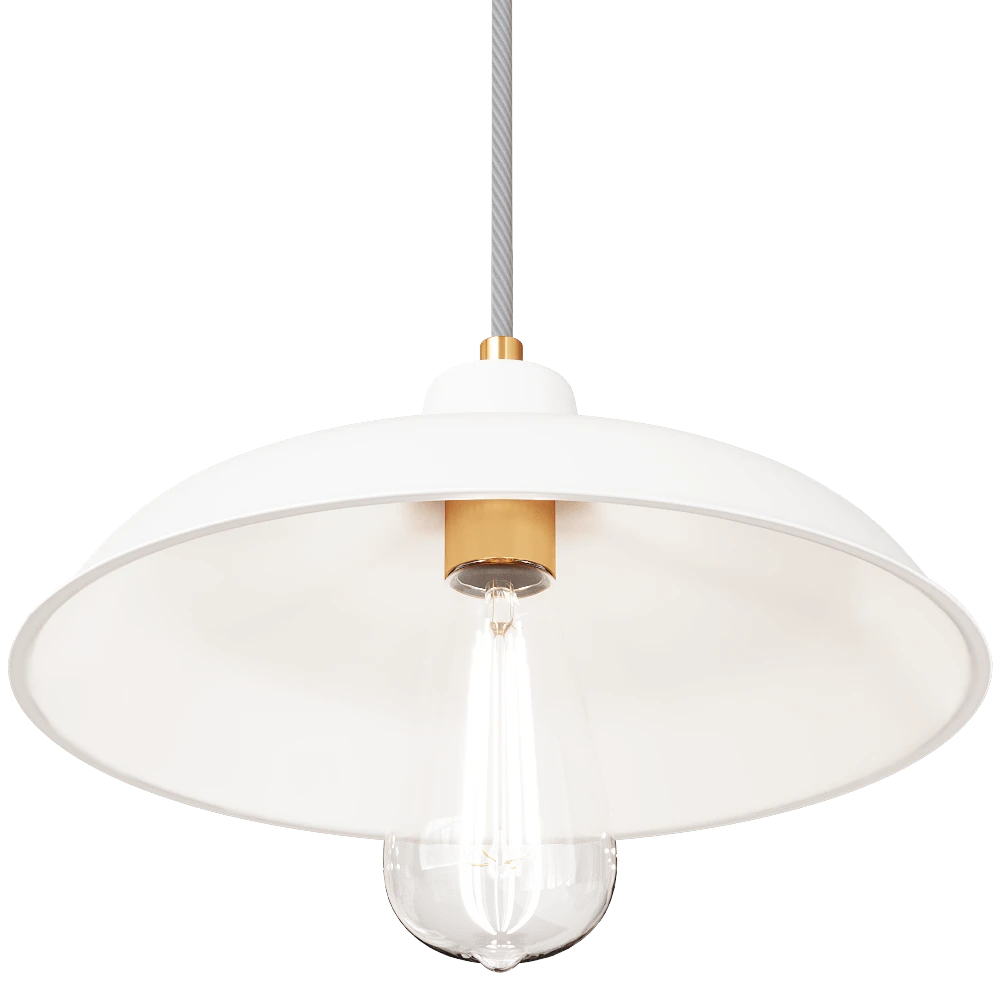 Ceiling lamp 1