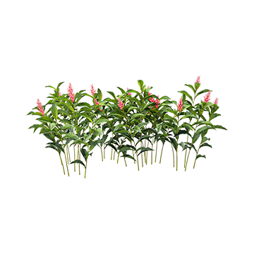 Plant Jasmine 01 - Download the 3D Model (21333) | zeelproject.com