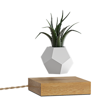 Olive branch in vase - Download the 3D Model (13618) | zeelproject.com