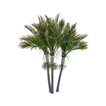 Bouquet with physalis - Download the 3D Model (10486) | zeelproject.com