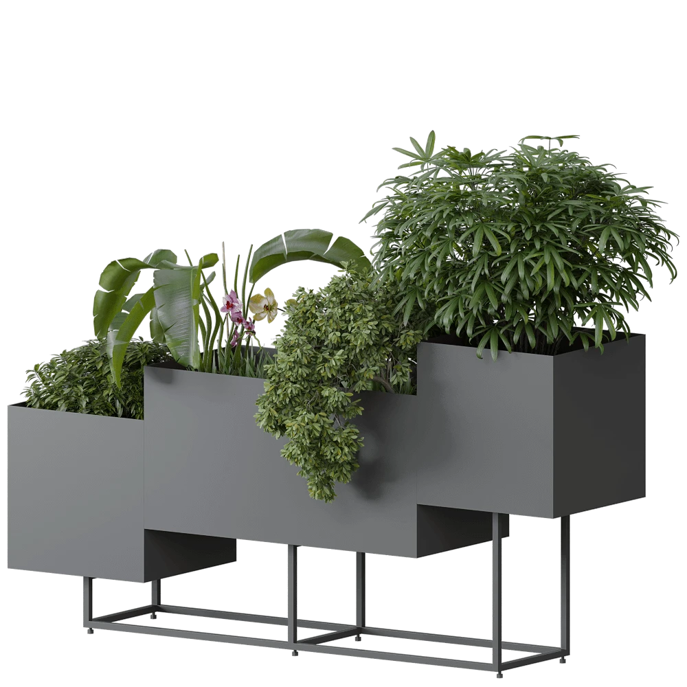 Plants / Other decorative objects 1