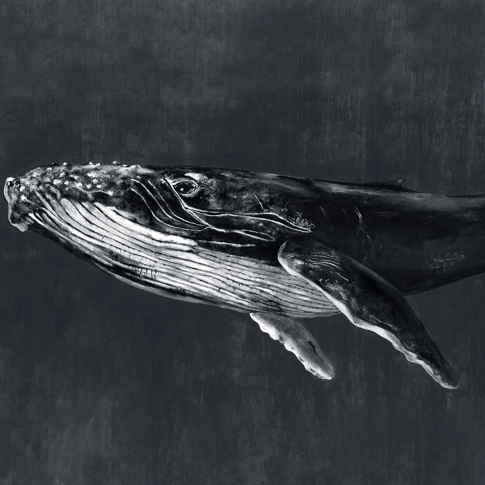 Պատի ծածկույթներ 2