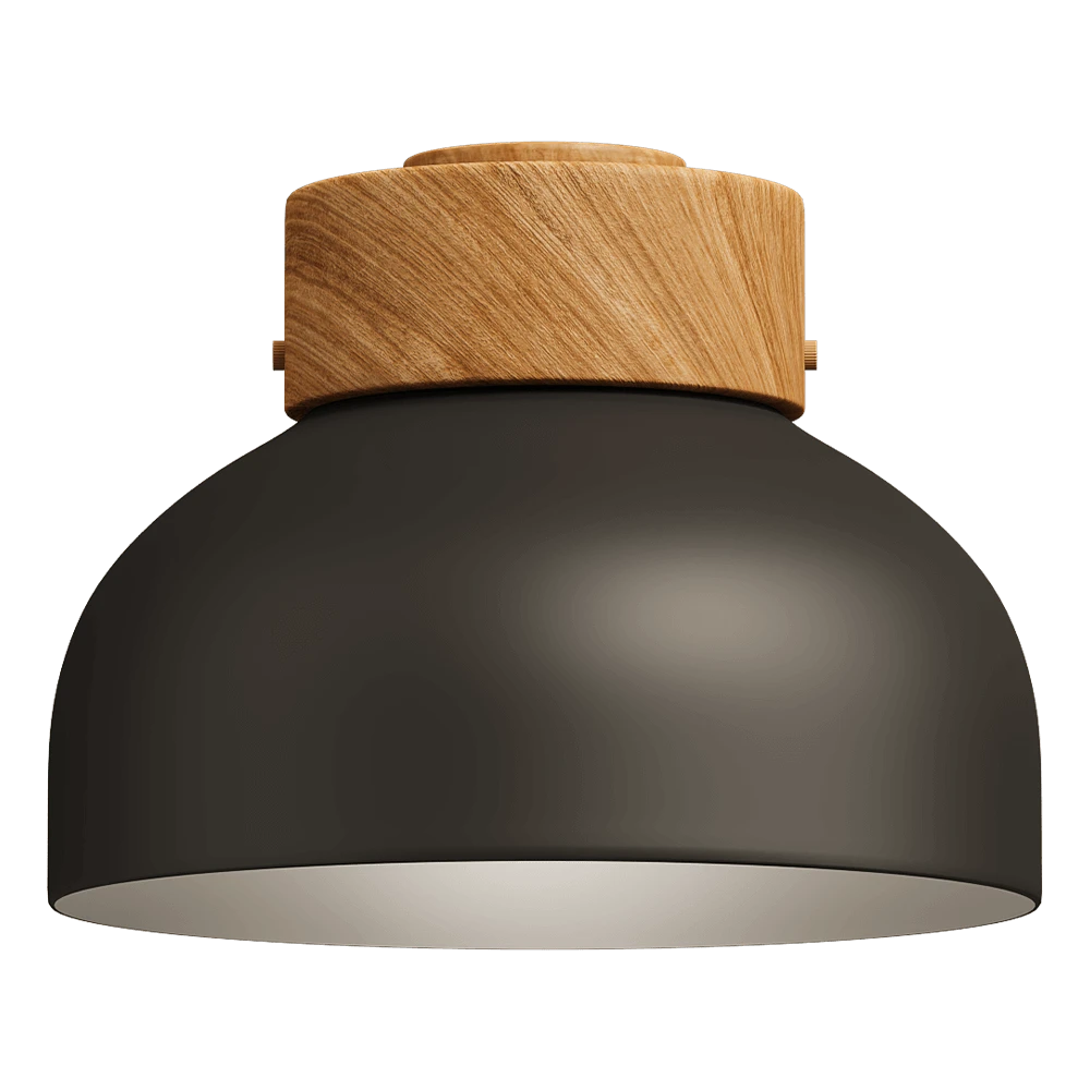 Deckenlampe 1