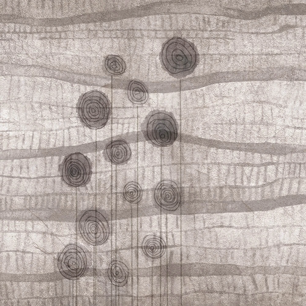 Recubrimiento de pared 1