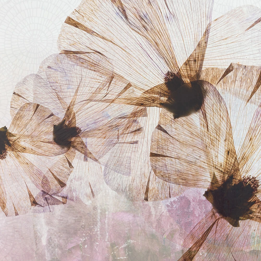 Պատի ծածկույթներ 1