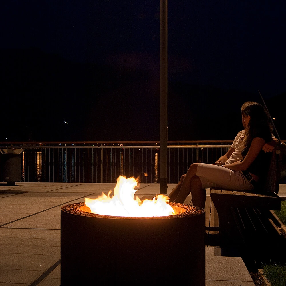 Fireplace / Miscellaneous 2