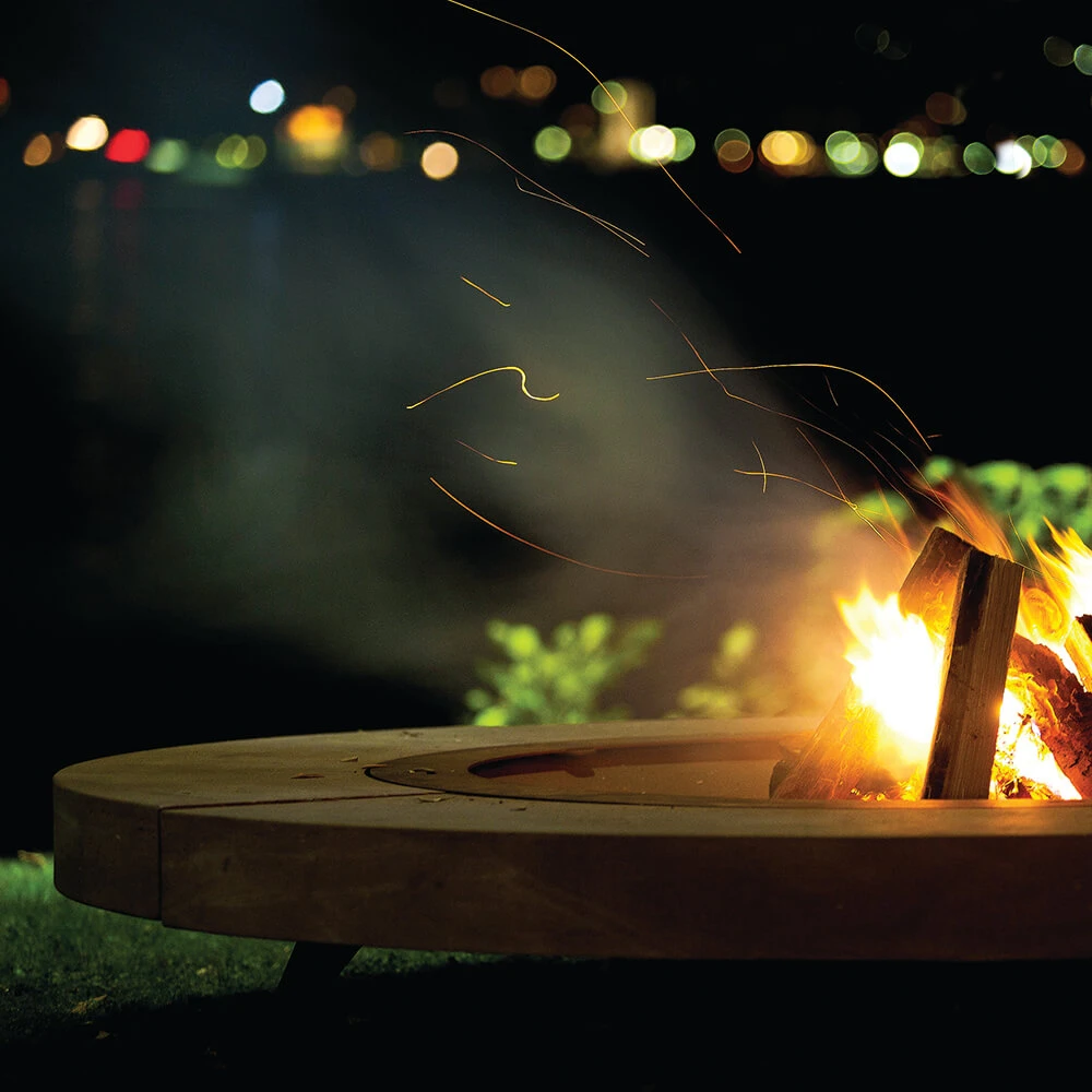 Fireplace / Miscellaneous 2