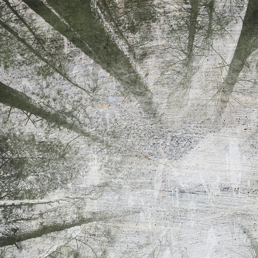 Recubrimiento de pared 2