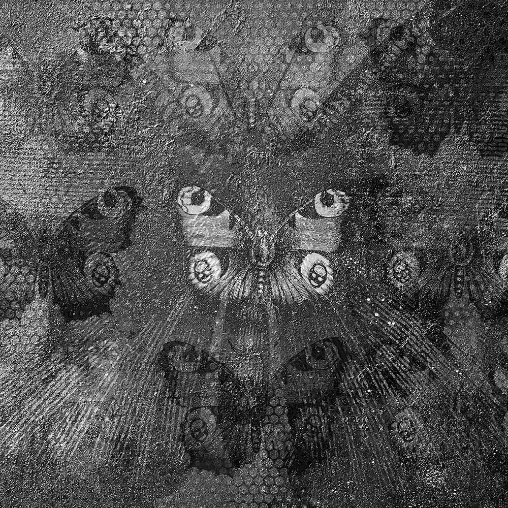 Rivestimento murale 1