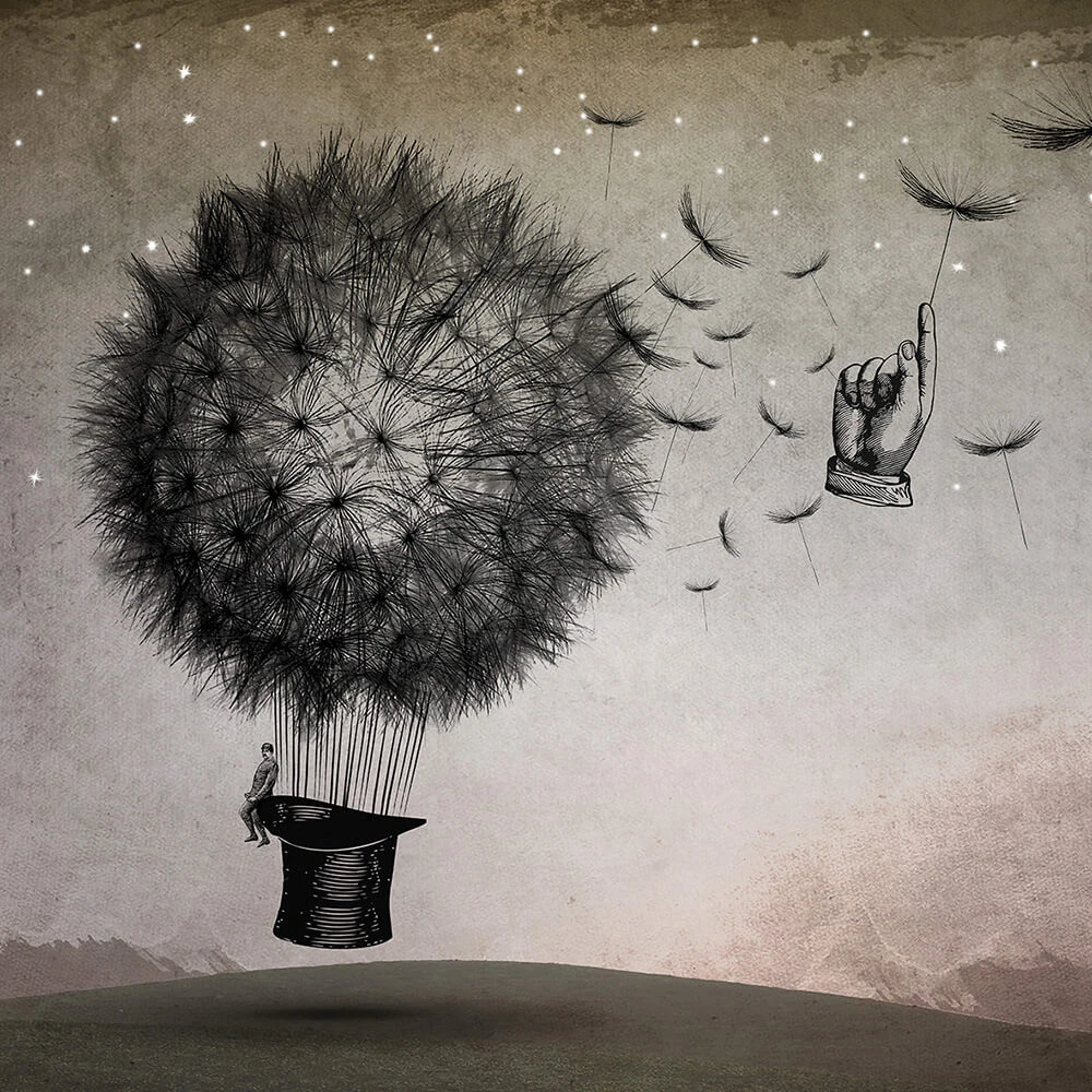 Recubrimiento de pared 1