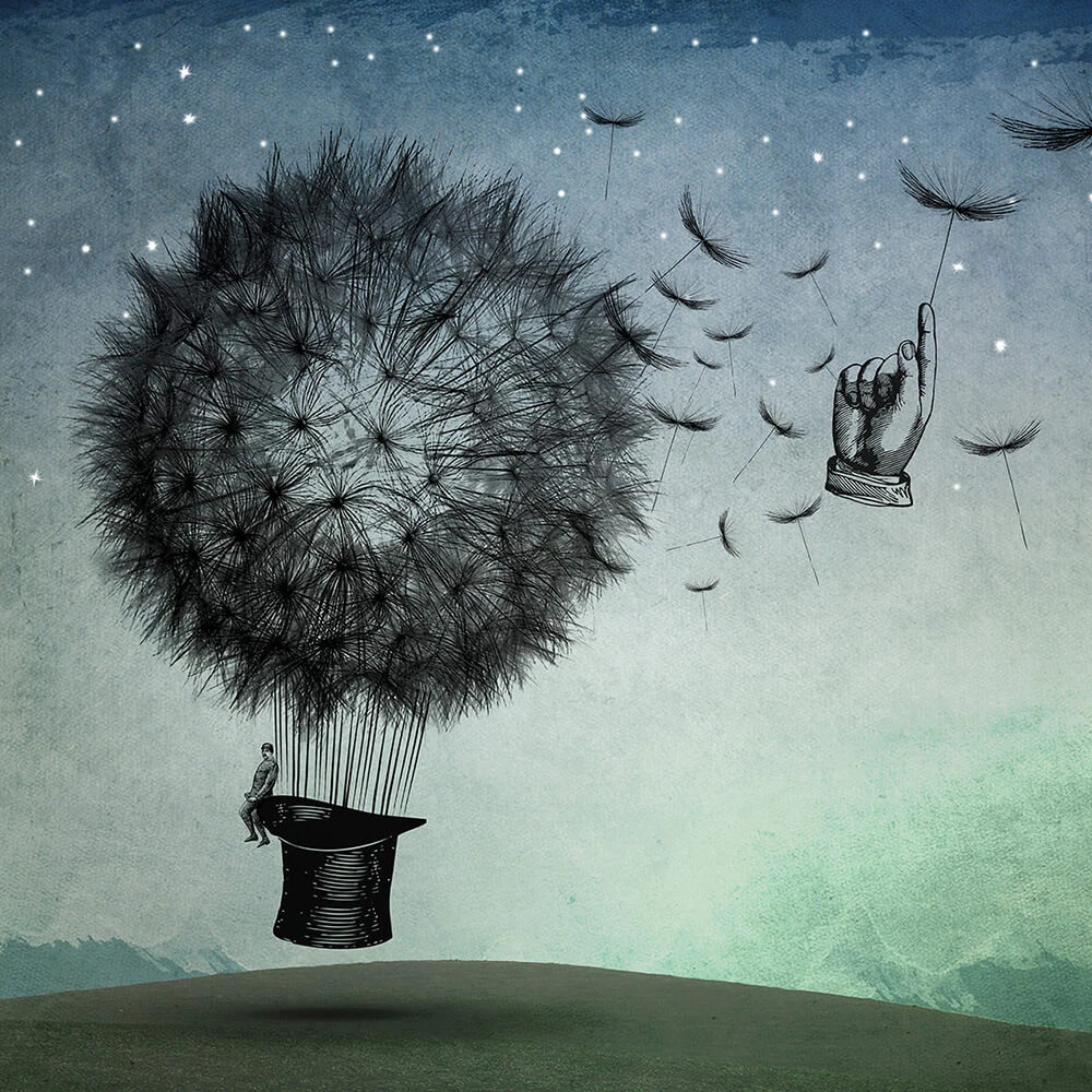 Recubrimiento de pared 2