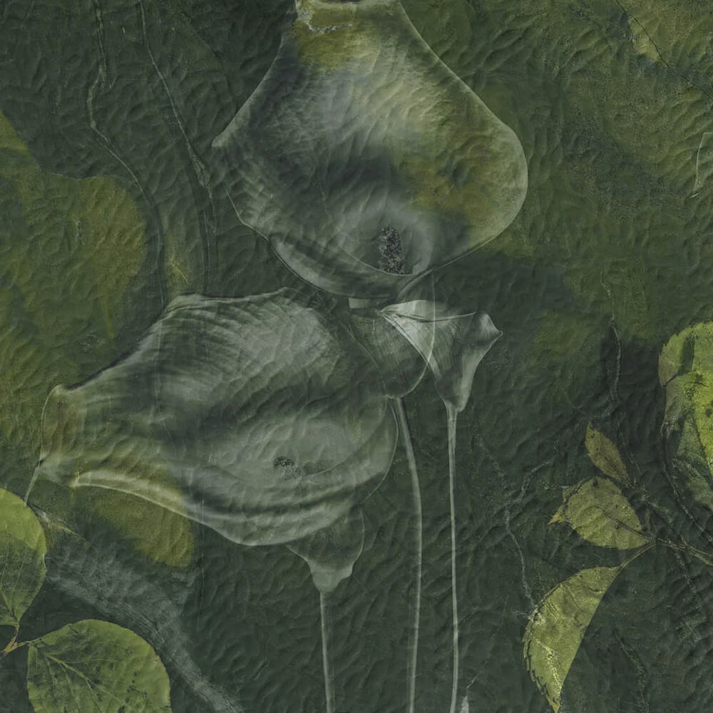 Պատի ծածկույթներ 1