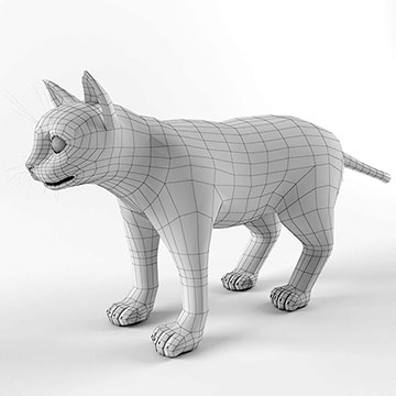 3d model net