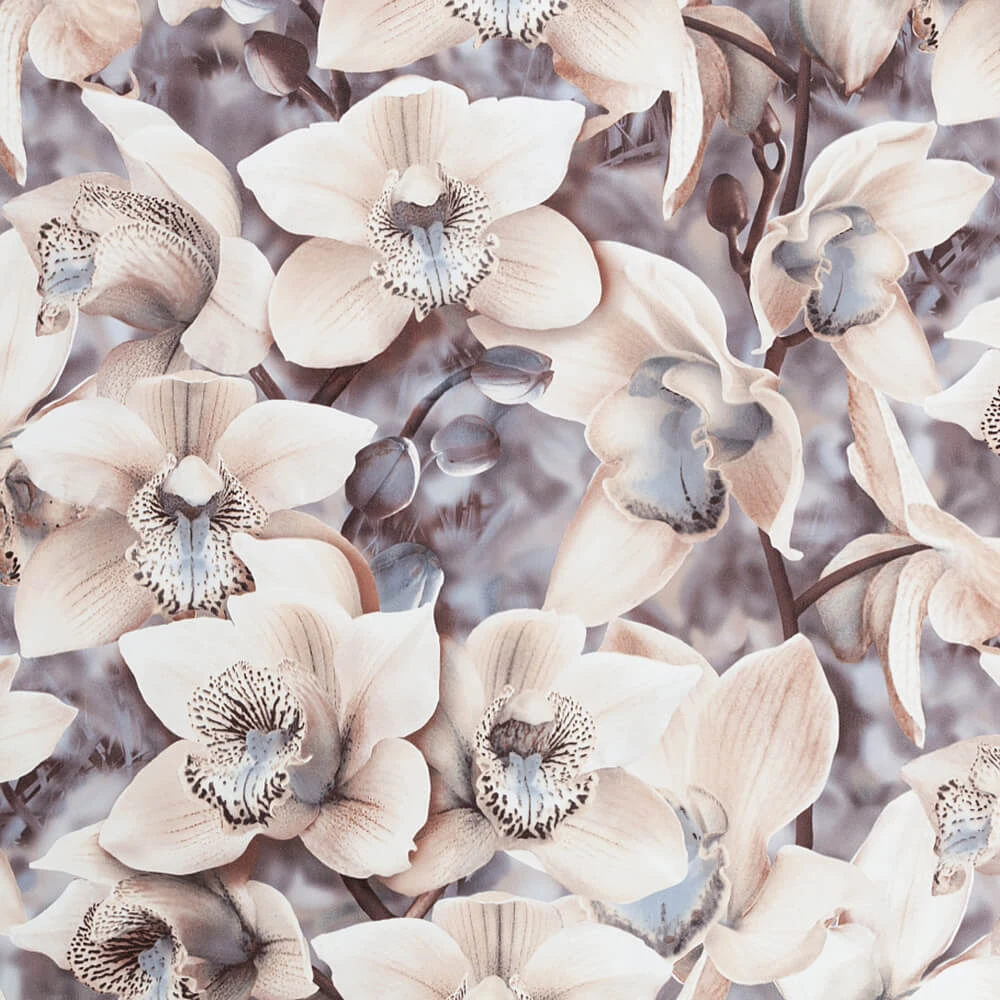 Стены, обои 1