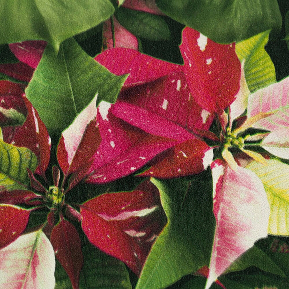 Recubrimiento de pared 1