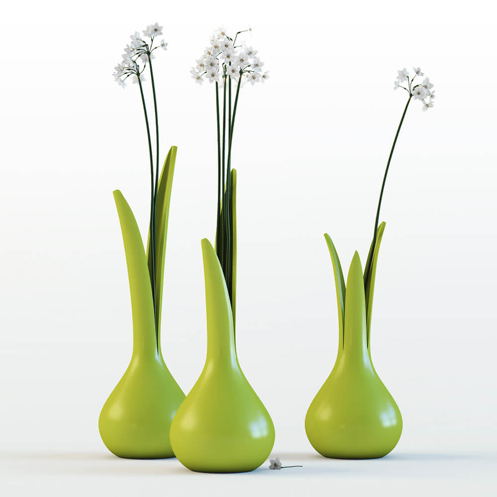 Plants / Vases 1