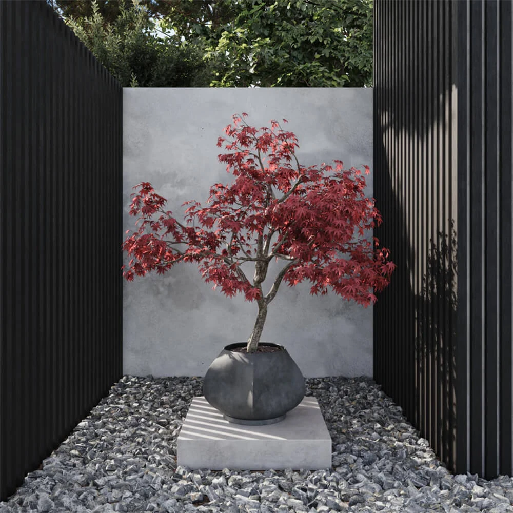 Ծաղկամաններ 2