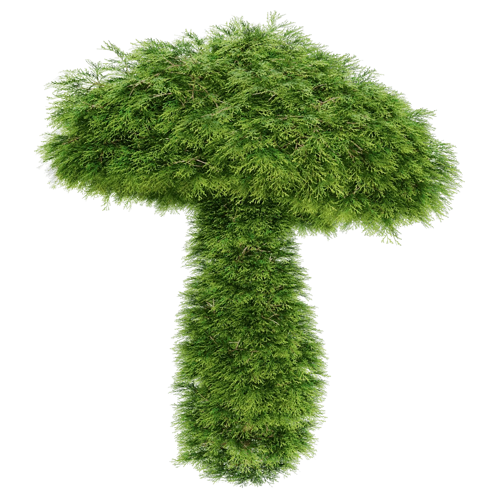 Topiary Plant with Sculpted Mushroom Form