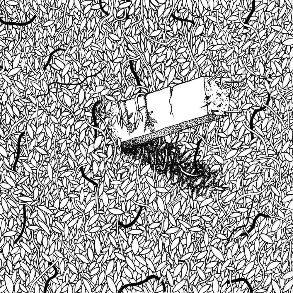 Rivestimento murale 1