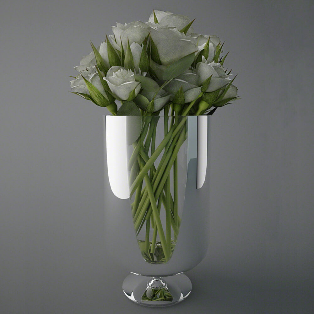 Plants / Vases / Decorative set 1