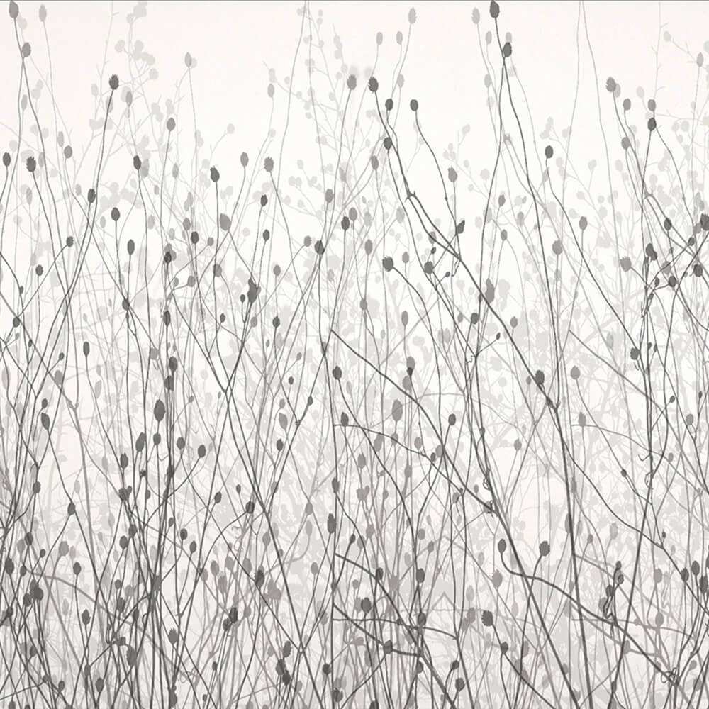 Rivestimento murale 1