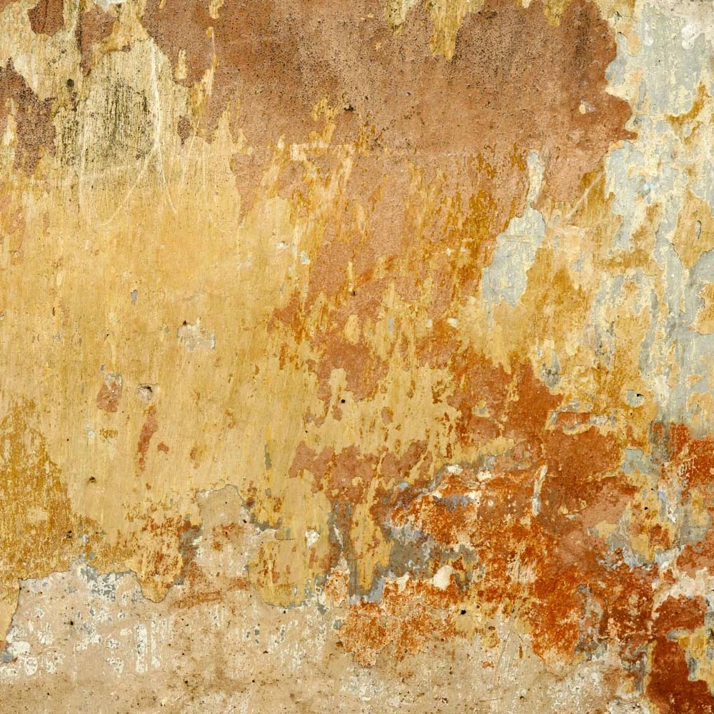 Rivestimento murale 1