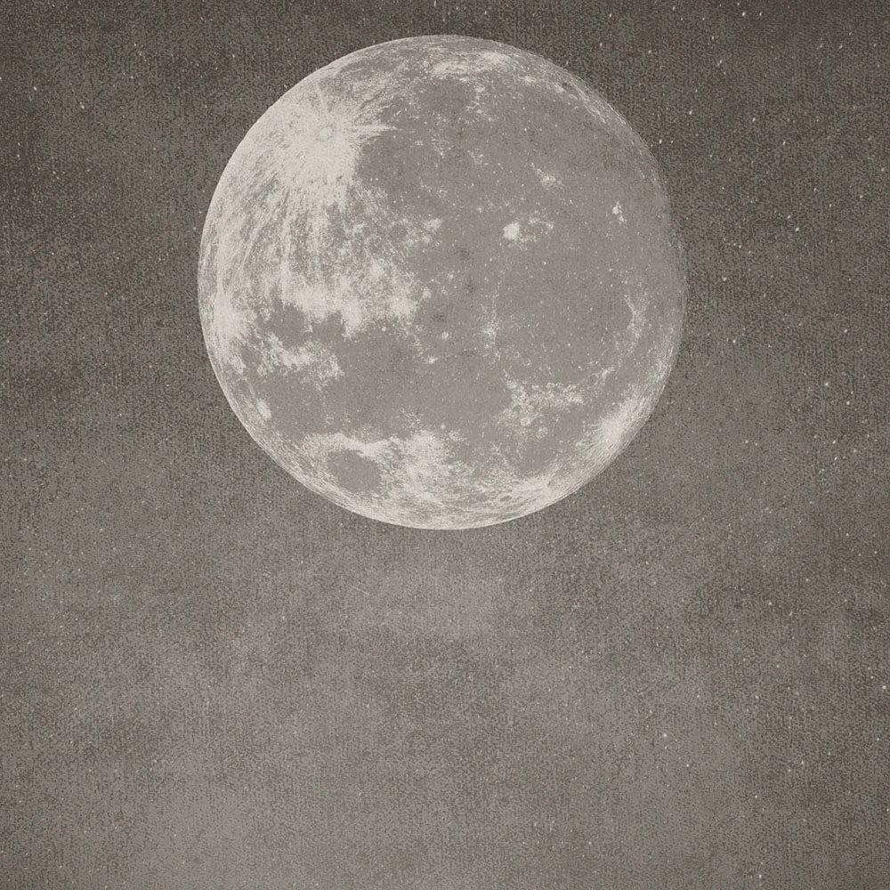 Recubrimiento de pared 1