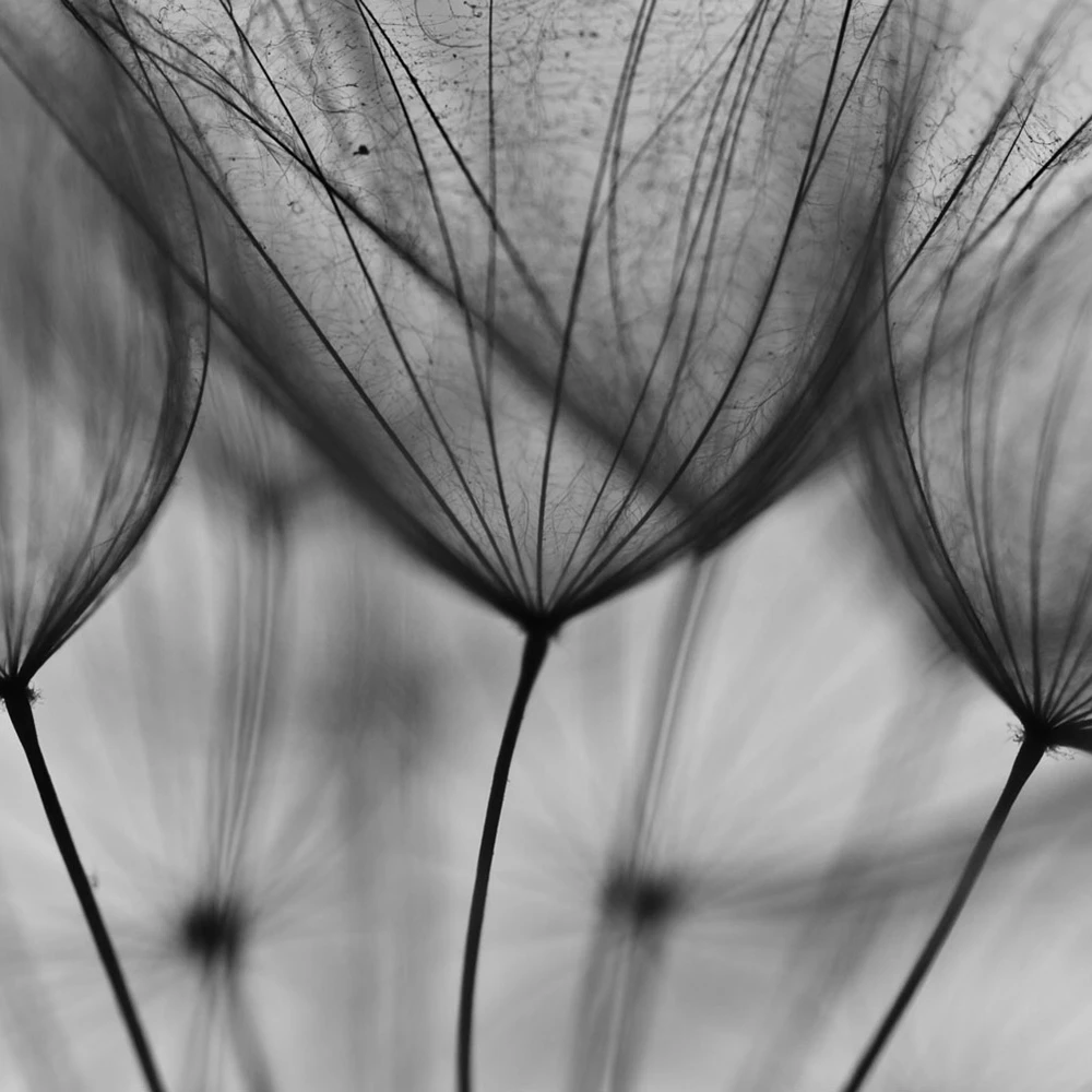 Recubrimiento de pared 1