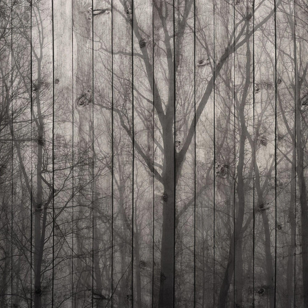 Rivestimento murale 1