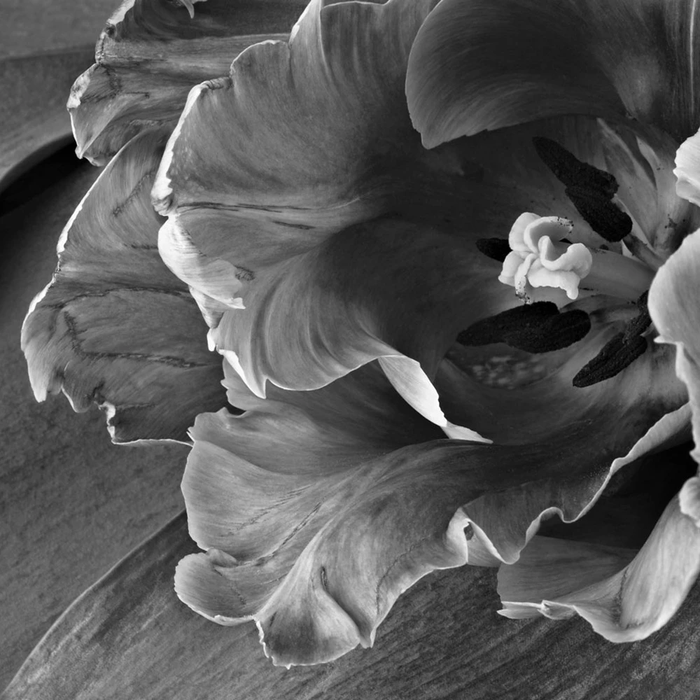 Rivestimento murale 1