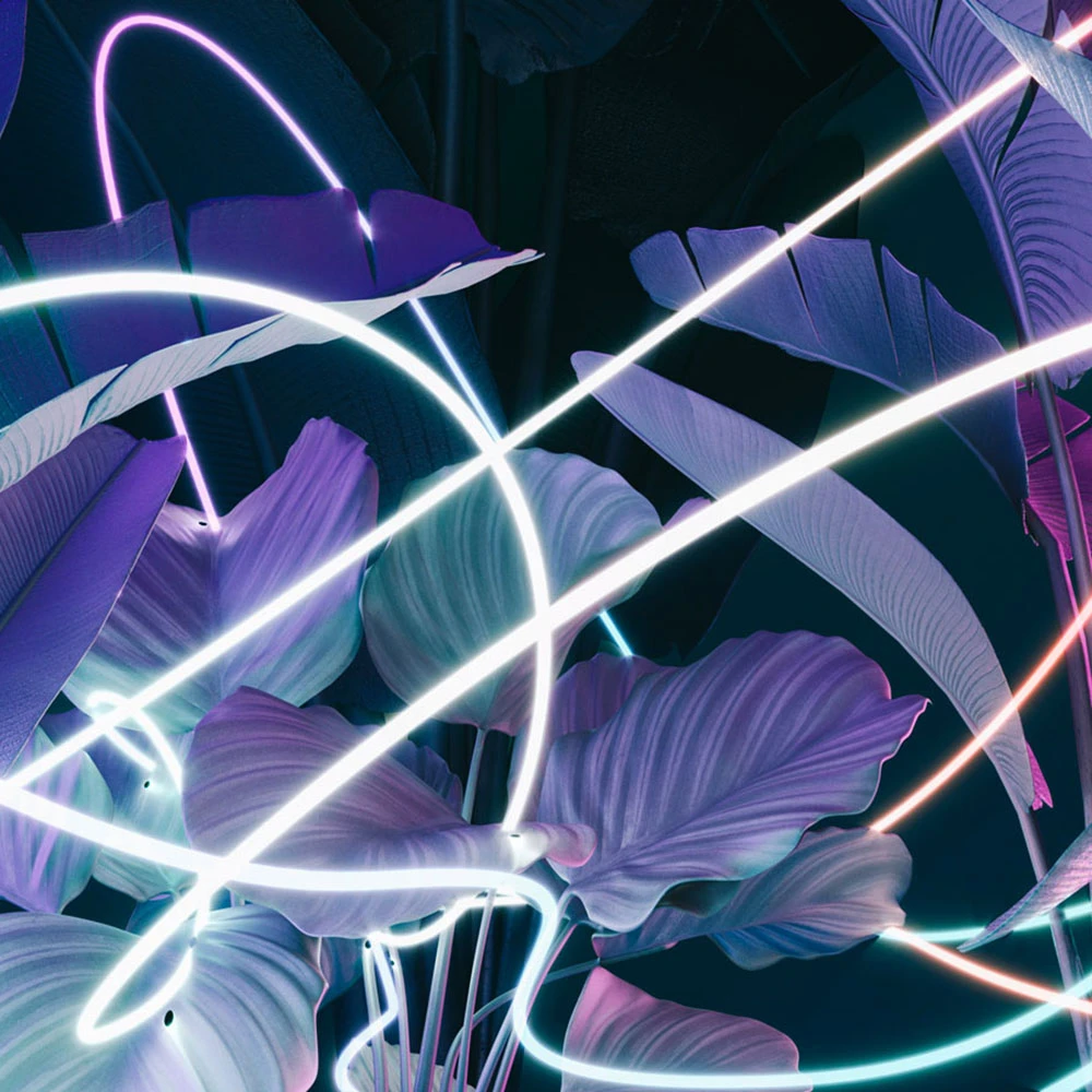 Rivestimento murale 1