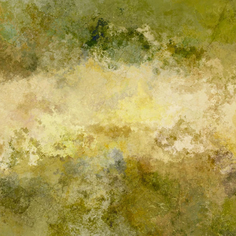 Rivestimento murale 1