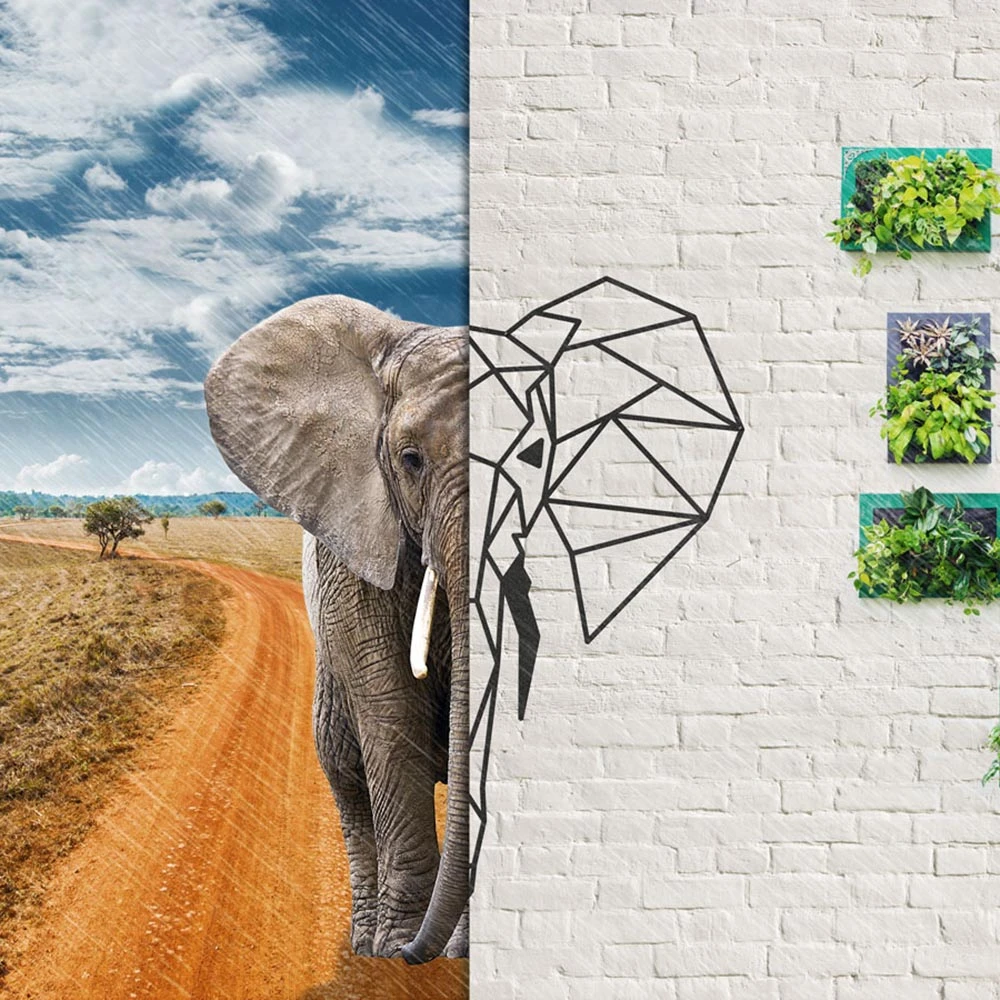 Rivestimento murale 1