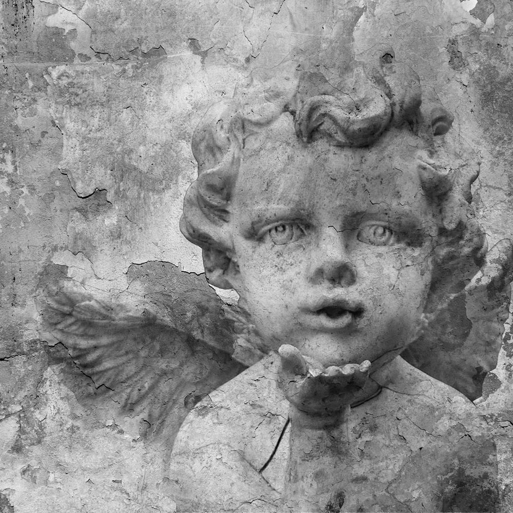 Պատի ծածկույթներ 1