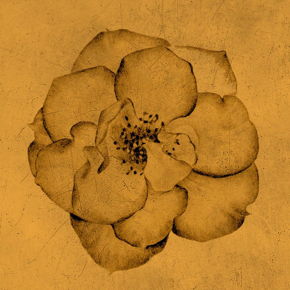 Стены, обои 1