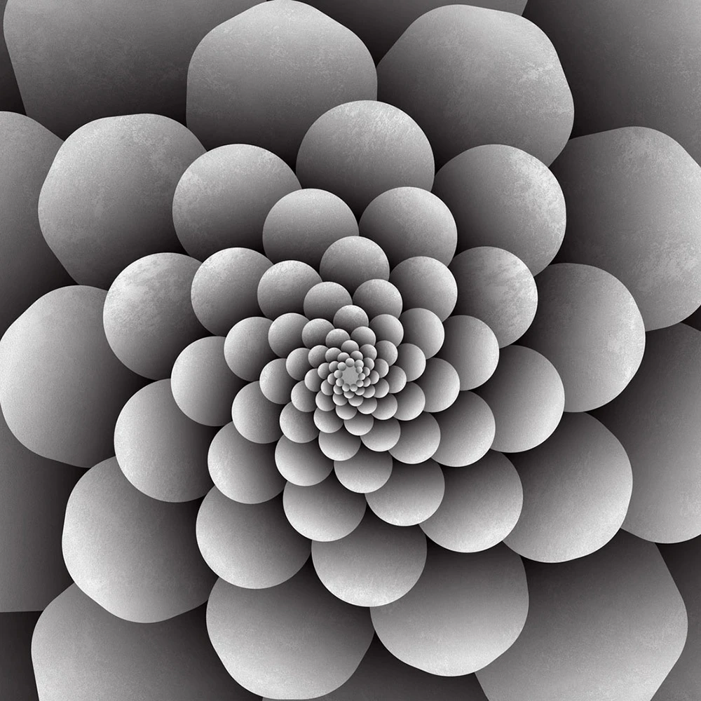 Recubrimiento de pared 1