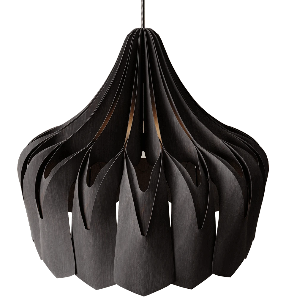 Pendant Lamp Pilke Black Pioni L