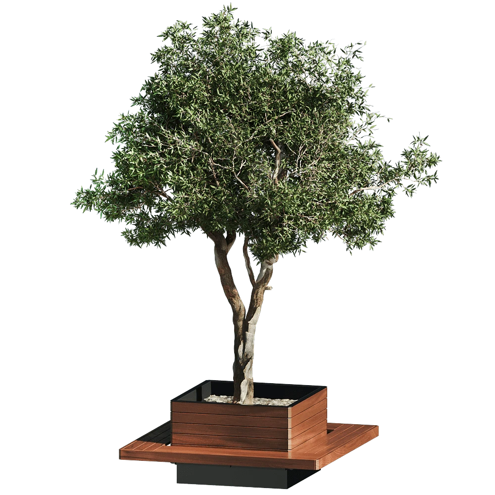 Other / Miscellaneous 1